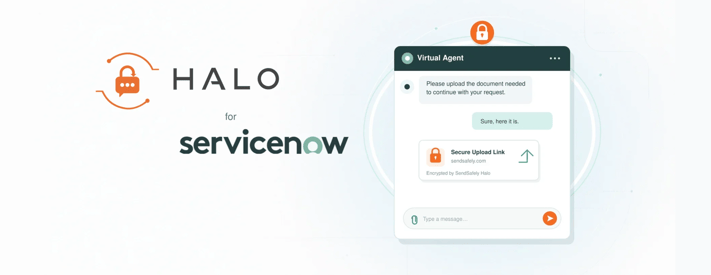 Halo ServiceNow2