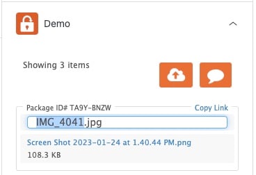 Rename Dropzone Files - Zendesk