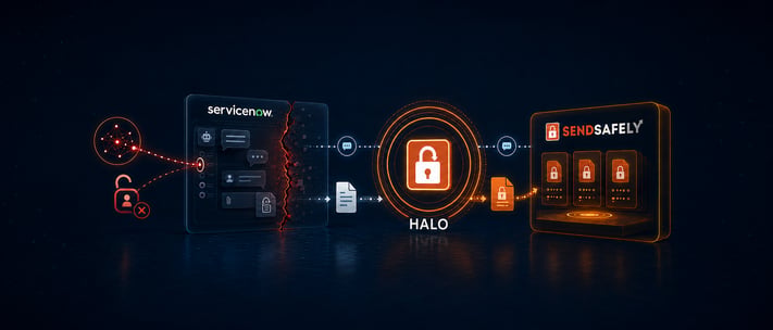 ServiceNow Halo image